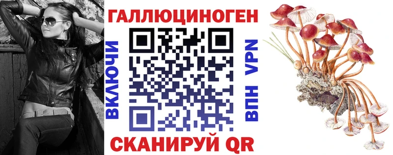 Галлюциногенные грибы ЛСД  купить наркотики цена  Рыбное 
